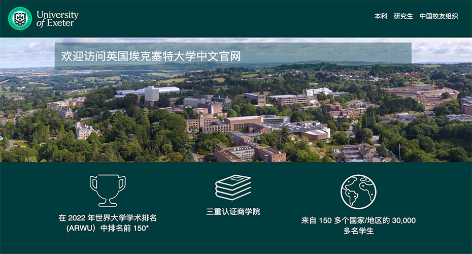 screenshot of chinese website