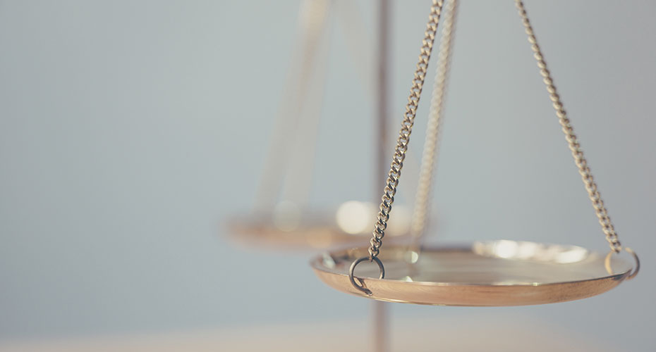 Close up image of scales